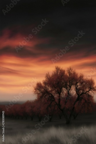 Mindful Autumn Nature Escape, Mindful Autumn Landscape for Seasonal Wellness and Peaceful Nature  , Misty Seasonal Slow Living  