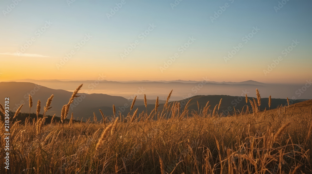 Obraz premium Late summer landscape with golden grass and distant mountain ridge