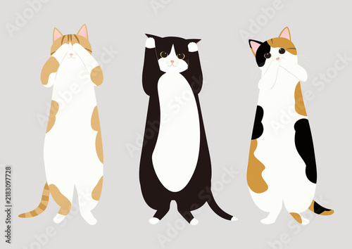 猫の見ざる聞かざる言わざる
