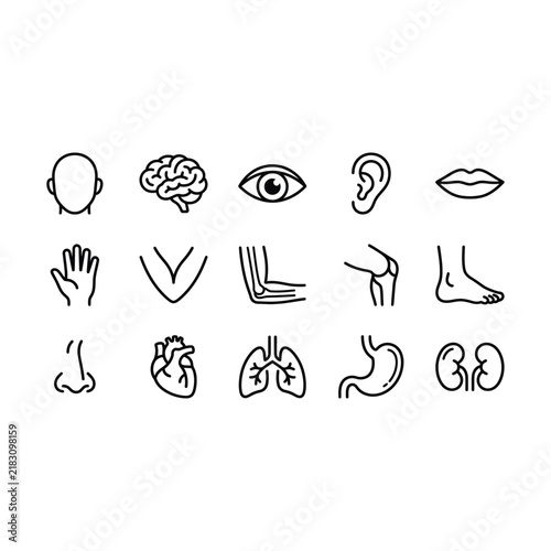 Set of simple human body and organ icons in black and white Vector, illustration