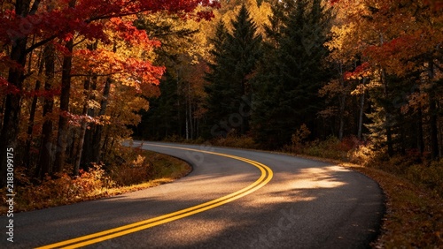 Winding Road Through Red Autumn Trees With Vibrant Fall Foliage and Scenic Forest Drive

