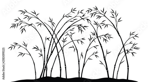 Graceful grass flowers growing in soil