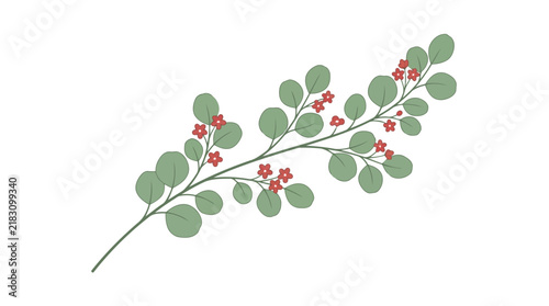 Green branch with red berries isolated