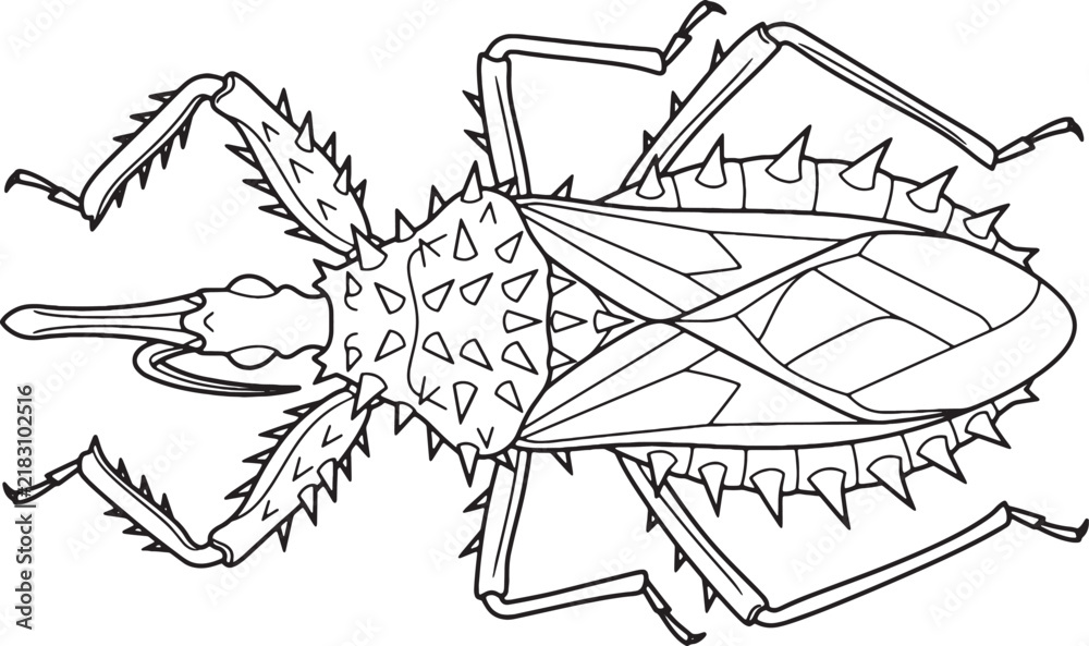 Naklejka premium Spiny Assassin Bug Top View Line Art Outline Illustration