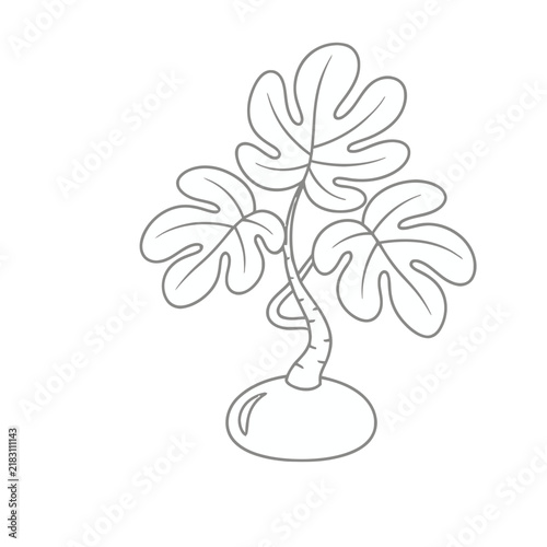 Stylized plant with large leaves and a bulbous base