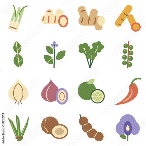 Thai culinary herbs and ingredients set of 16 colorful icons