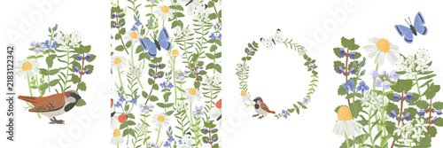 spring flowers and bird, vector drawing wild plants,butterflies and sparrow at white background, set of floral composition, hand drawn botanical illustration