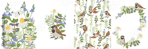 spring flowers and bird, vector drawing wild plants,butterflies and sparrow at white background, set of floral composition, hand drawn botanical illustration