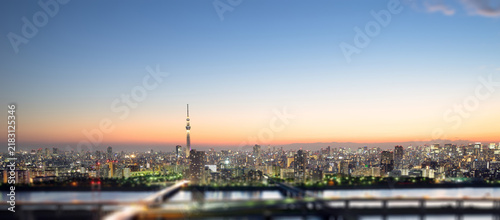 Aerial view of tokyo skytree and city skyline with skyscrapers and blurred foreground at sunset in Japan, miniature tilt shift effect