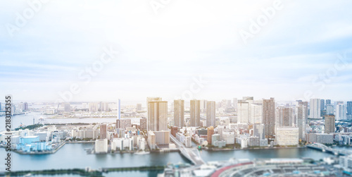 Quadro su tela Aerial view of tokyo city skyline with skyscrapers and blurred foreground in Oda
