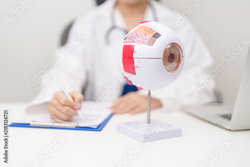 Quadro su tela Doctor with human Eye anatomy model with magnifying glass