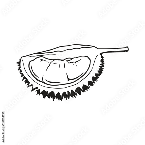 Black and white tropical durian vector illustration featuring bold outlines and detailed, natural shapes, isolated on a white background.