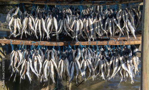Quadro su tela Bokkoms is whole salted and dried mullet a well-known specialty on the west coas