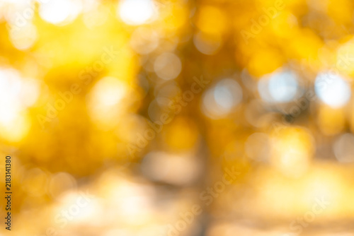 Fotografie Gold nature blur abstract bokeh background