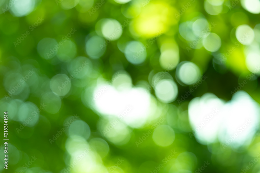 Obraz premium green blurred backdrop of nature, circle light wallpaper, white bokeh background