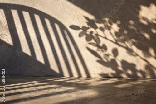 Rose Branch Shadow on Sunlit Stucco Wall