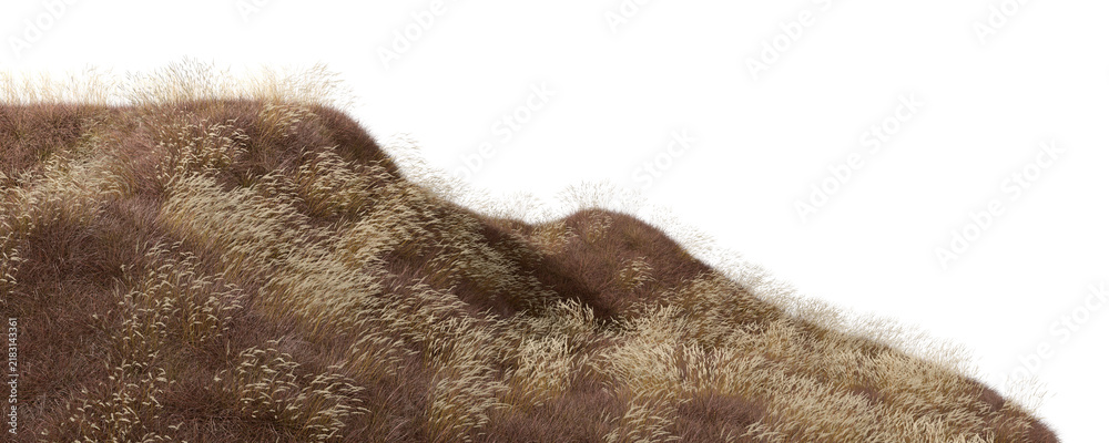 Fototapeta premium Feathers dry grass fields flowing wind on hills landscape cut out backgrounds 3d rendering png
