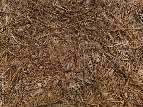 Foto texture of hay