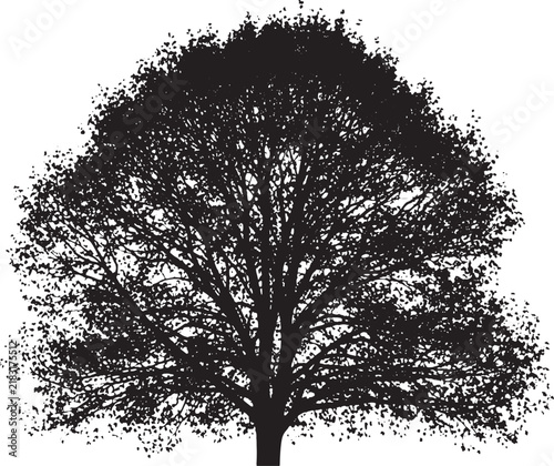 Black silhouette of a large leafy tree, detailed oak tree vector illustration, isolated deciduous tree with dense foliage and branches