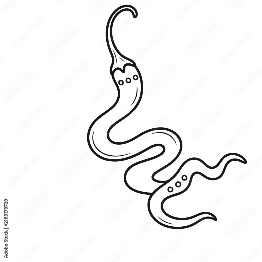 Fototapeta premium Wavy chili pepper outline