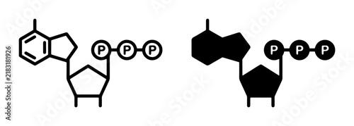 Bild auf Leinwand Adenosine Triphosphate ATP Molecular Structure, Scientific Chemical Diagram, Ene