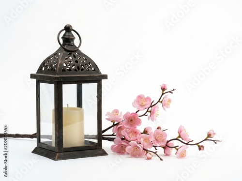 Vintage Lantern with Pink Cherry Blossoms on White Background
