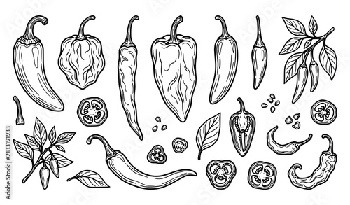Foto Hand Drawn Chili Pepper and Spicy Ingredient Line Art Collection featuring Jalap
