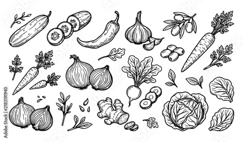 Hand Drawn Fresh Vegetable and Organic Food Line Art Icon Set featuring Carrot Cucumber Onion Pepper Garlic and Cabbage Vectors for Healthy Recipe Designs