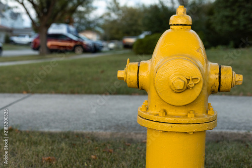 Fotografía Yellow fire hydrant beside a residential sidewalk in a grassy suburban setting