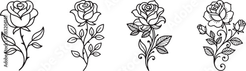 Detailed line art rose flower stem illustrations with leaves and thorns on a transparent background.