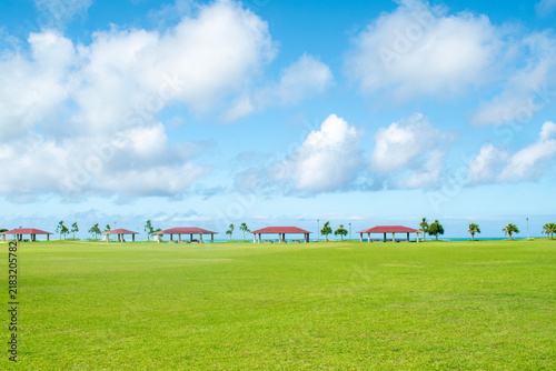Fototapeta 沖縄県豊見城市の豊崎海浜公園の広場