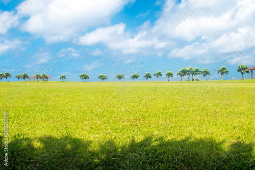 Fototapeta 沖縄県豊見城市の豊崎海浜公園の広場