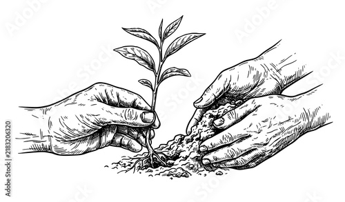 Farmer hands planting young tea seedling vintage vector illustration with botanical leaves and black white engraving style for packaging