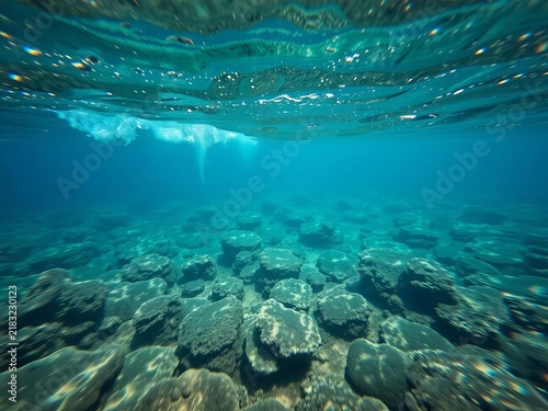 Undercurrents propel the ocean floor into view, floor, secrets