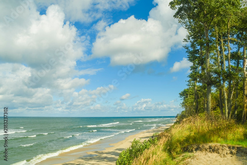 A sandy seashore with a forest on a hill. Summer panorama of a coastal forest with trees and a blue sky. An empty place for relaxation and travel.