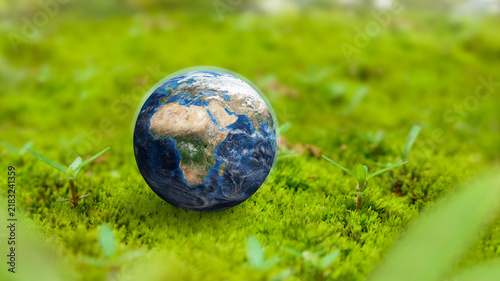 Konstfotografi Miniature Earth resting on lush green moss, representing environmental protection, nature conservation, sustainability, ecology, and care for our planet