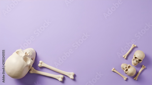 Obraz na płótnie Human skeleton model on purple background