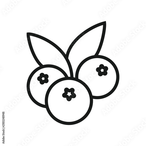 Outline hand drawn berries fruit with leaves icon.