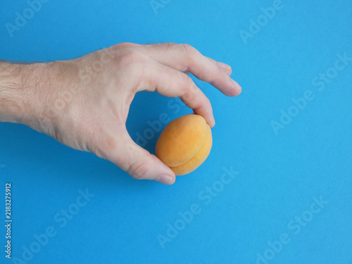 Bild auf Leinwand Male fingers holding pale orange apricot fruit on blue background