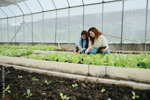 Canvastavla Joyful women enjoying farming vegetable gardening in greenhouse feeling happy wi
