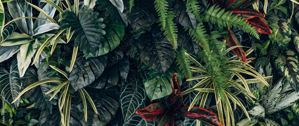 Obraz premium Full Frame of Green Leaves Pattern Background, Nature Lush Foliage Leaf Texture, tropical leaf