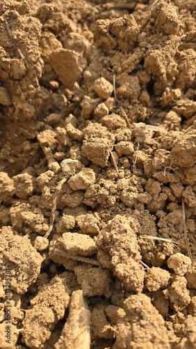 Konstfotografi Macro texture of dry brown soil dirt ground background