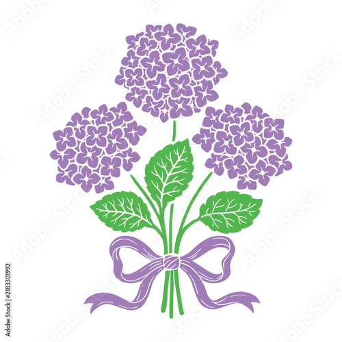 Purple hydrangea bouquet vector icon, floral blossom with ribbon bow isolated on white background for garden design. Vector hand drawn illustration
