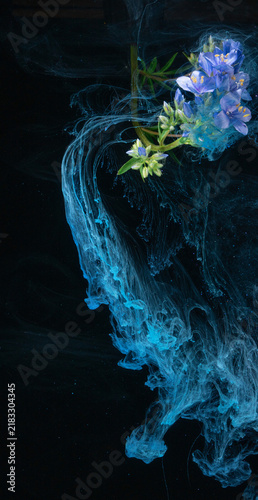 Foto Blue wildflower cluster entwined with turquoise ink swirls closeup on black back