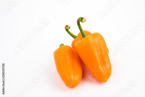 파프리카