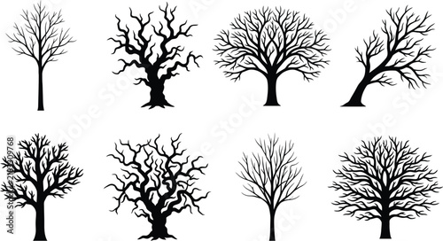 Foto Collection of bare tree silhouettes against a white background