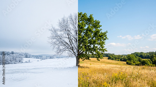 Seasonal landscape showing winter snow and summer greenery split.
