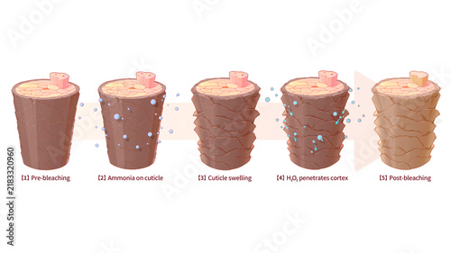 Hair bleaching principle 3d elements, illustration