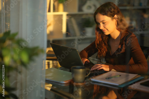 Satisfied telecommuter using laptop to work online at home