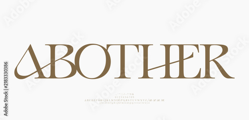 Beauty Luxury font alphabet logo. Typography beautiful fashion elegant classic letters serif italic fonts decorative wedding vintage retro logos. vector illustration
